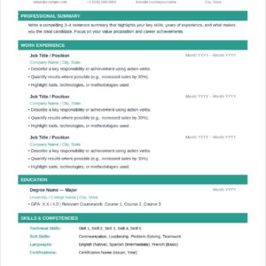01_Professional_Resume_Template_preview